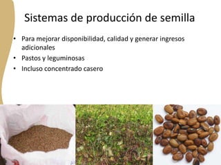 Forrajes en Livestock and Fish