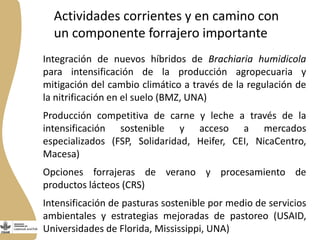 Forrajes en Livestock and Fish