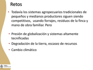 Forrajes en Livestock and Fish