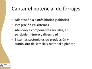 Forrajes en Livestock and Fish