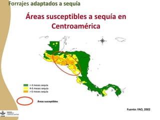 Forrajes en Livestock and Fish