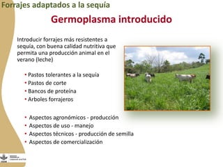 Forrajes en Livestock and Fish
