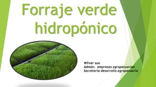Forraje verde
hidropónico
Wilver sua
Admón. empresas agropecuarias
Secretaria desarrollo agropecuario
 