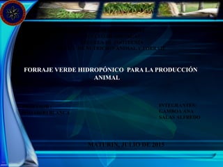 FORRAJE VERDE HIDROPÓNICO PARA LA PRODUCCIÓN
ANIMAL
INTEGRANTES:
GAMBOA ANA
SALAS ALFREDO
MATURIN, JULIO DE 2015
PROFESOR :
SOMAROO BLANCA
UNIVERSIDAD DE ORIENTE
NÚCLEO DE MONAGAS
ESCUELA DE ZOOTECNIA
DEPTO. DE NUTRICION ANIMAL Y FORRAJE
 
