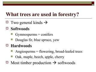 What trees are used in forestry?



Two general kinds 
Softwoods





Hardwoods





Gymnosperms = conifers
Douglas fir, blue spruce, yew
Angiosperms = flowering, broad-leafed trees
Oak, maple, beech, apple, cherry

Most timber production  softwoods

 