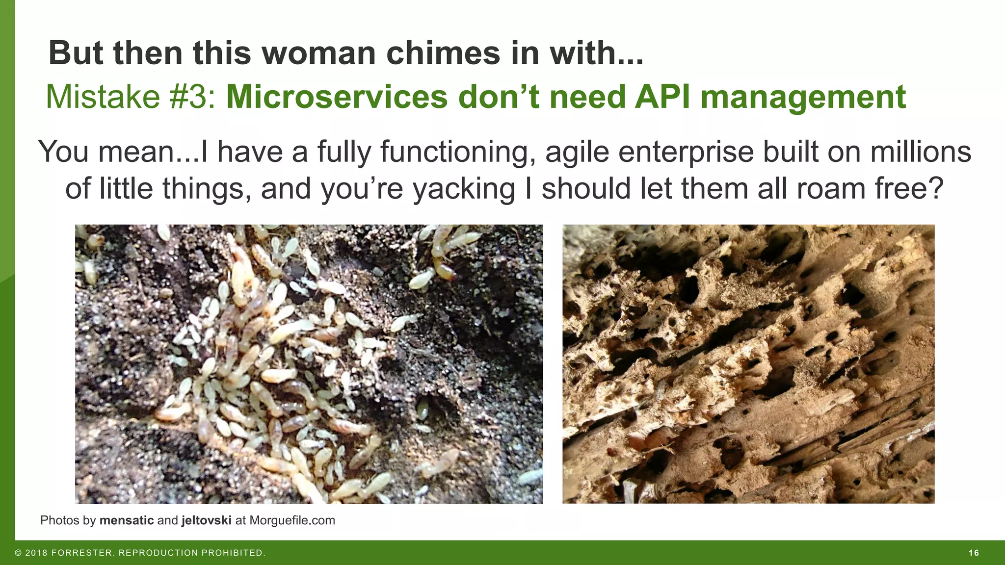 16© 2018 FORRESTER. REPRODUCTION PROHIBITED.
But then this woman chimes in with...
You mean...I have a fully functioning, agile enterprise built on millions
of little things, and you’re yacking I should let them all roam free?
Mistake #3: Microservices don’t need API management
Photos by mensatic and jeltovski at Morguefile.com
 