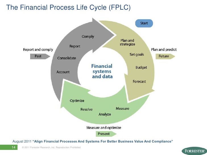 Optimize Financial Processes and Systems for Better Business Perform…