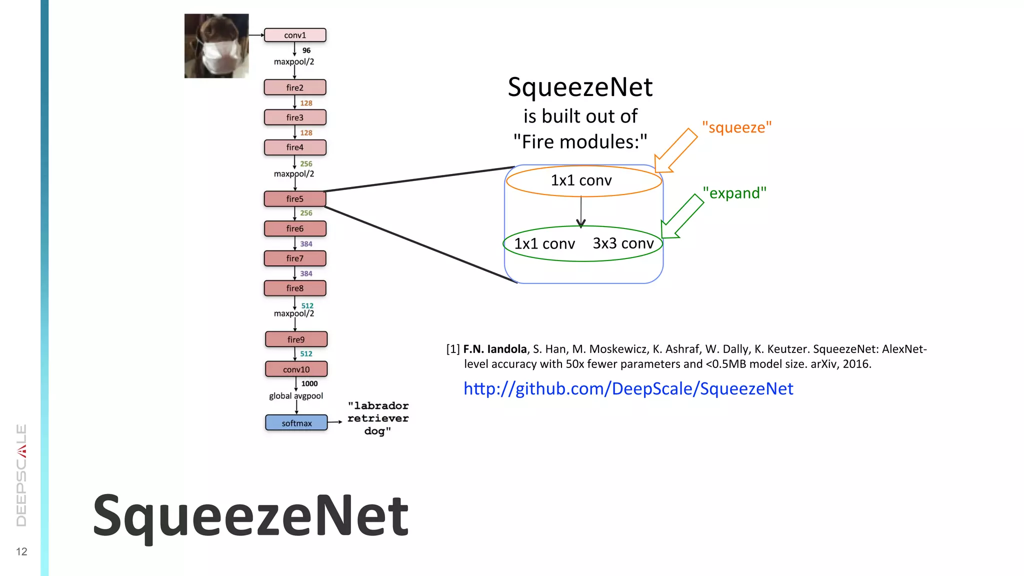12
SqueezeNet	
  
SqueezeNet	
  
is	
  built	
  out	
  of	
  
"Fire	
  modules:"	
  
[1]	
  F.N.	
  Iandola,	
  S.	
  Han,	
  M.	
  Moskewicz,	
  K.	
  Ashraf,	
  W.	
  Dally,	
  K.	
  Keutzer.	
  SqueezeNet:	
  AlexNet-­‐
level	
  accuracy	
  with	
  50x	
  fewer	
  parameters	
  and	
  <0.5MB	
  model	
  size.	
  arXiv,	
  2016.	
  
	
  
	
  	
  	
  	
  	
  	
  hrp://github.com/DeepScale/SqueezeNet	
  	
  
1x1	
  conv	
  
1x1	
  conv	
   3x3	
  conv	
  
"squeeze"	
  
"expand"	
  
 