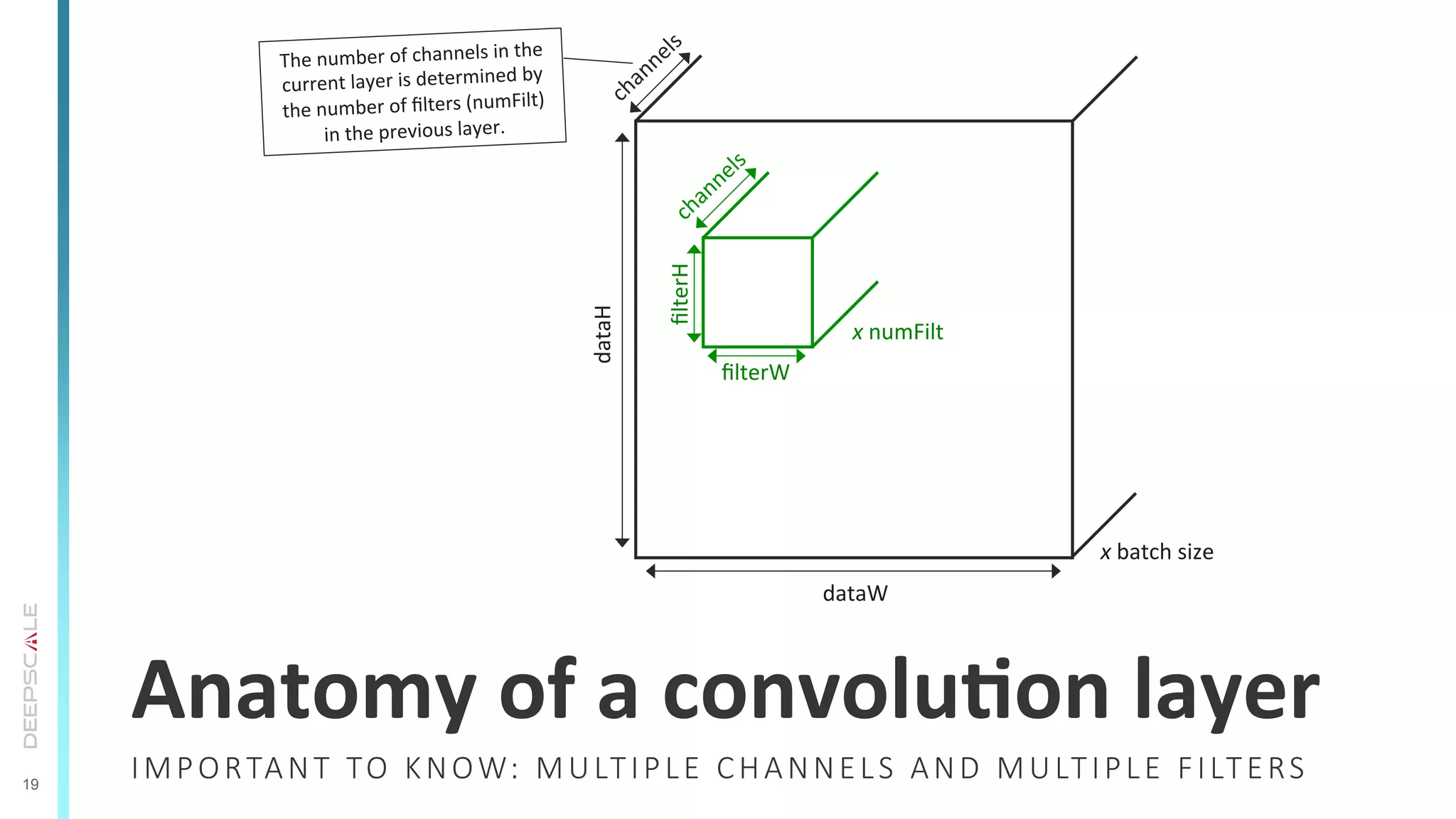 19
IMPORTANT  TO  KNOW:  MULTIPLE  CHANNELS  AND  MULTIPLE  FILTERS
Anatomy	
  of	
  a	
  convoluSon	
  layer	
  
ﬁlterW	
  
ﬁlterH	
  
dataH	
   dataW	
  
The	
  number	
  of	
  channels	
  in	
  the	
  
current	
  layer	
  is	
  determined	
  by	
  
the	
  number	
  of	
  ﬁlters	
  (numFilt)	
  
in	
  the	
  previous	
  layer.	
  
x	
  numFilt	
  
x	
  batch	
  size	
  
 