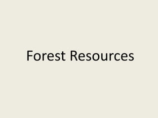 Forest Resources
 