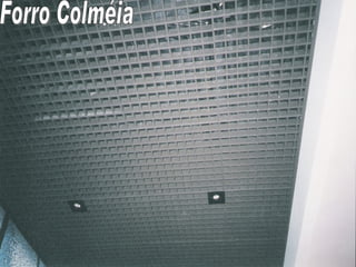 Forro Colméia 