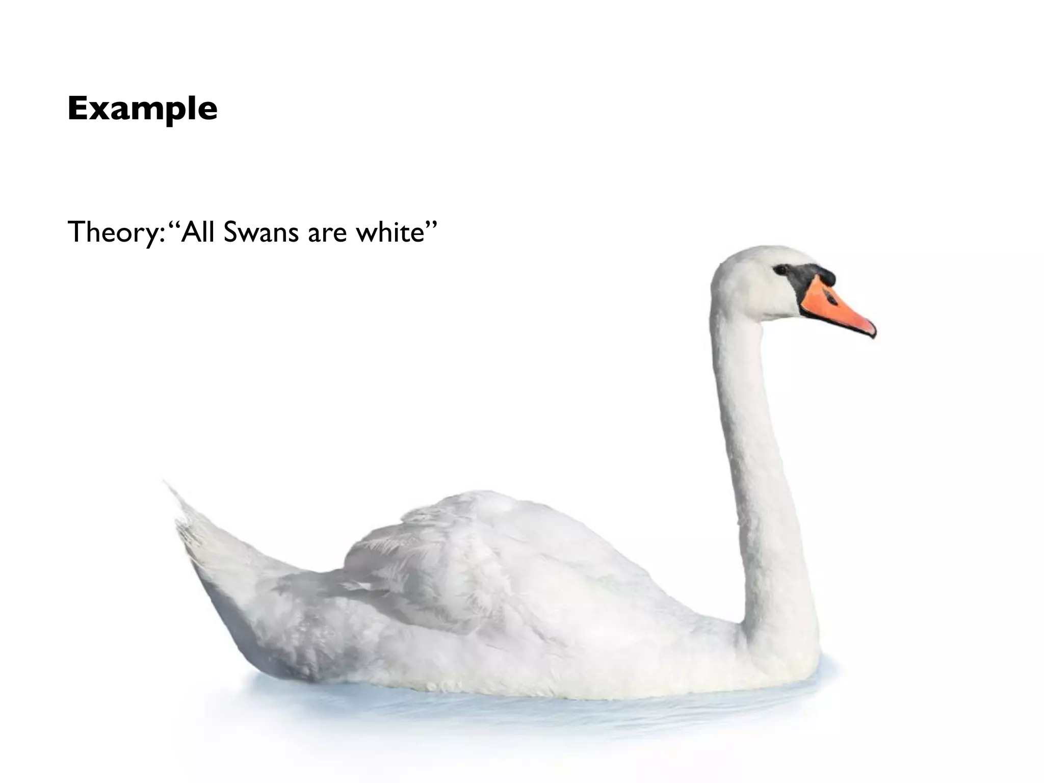 Example
Theory:“All Swans are white”
This statements (to be true) requires:
• Knowledge about whole universe of swans 
(which exist, which have existed, and which will exist)
• Objective interpretation of real world references
 