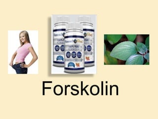 Forskolin
 