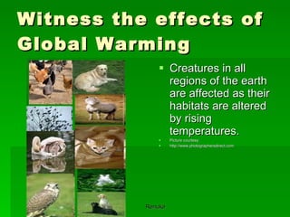 Witness the effects of Global Warming Creatures in all regions of the earth are affected as their habitats are altered by rising temperatures.   Picture courtesy: http://www.photographersdirect.com 