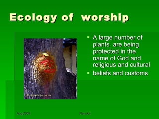 Ecology of  worship A large number of plants  are being  protected in the name of God and religious and cultural beliefs and customs 