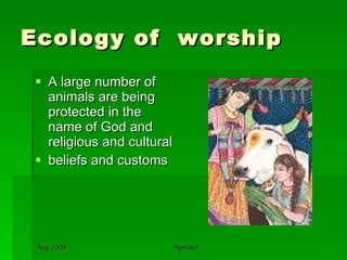 Ecology of  worship A large number of animals are being  protected in the name of God and religious and cultural beliefs and customs 