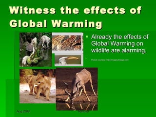 Witness the effects of Global Warming Already the effects of Global Warming on wildlife are alarming. Picture courtesy: http://images.theage.com   