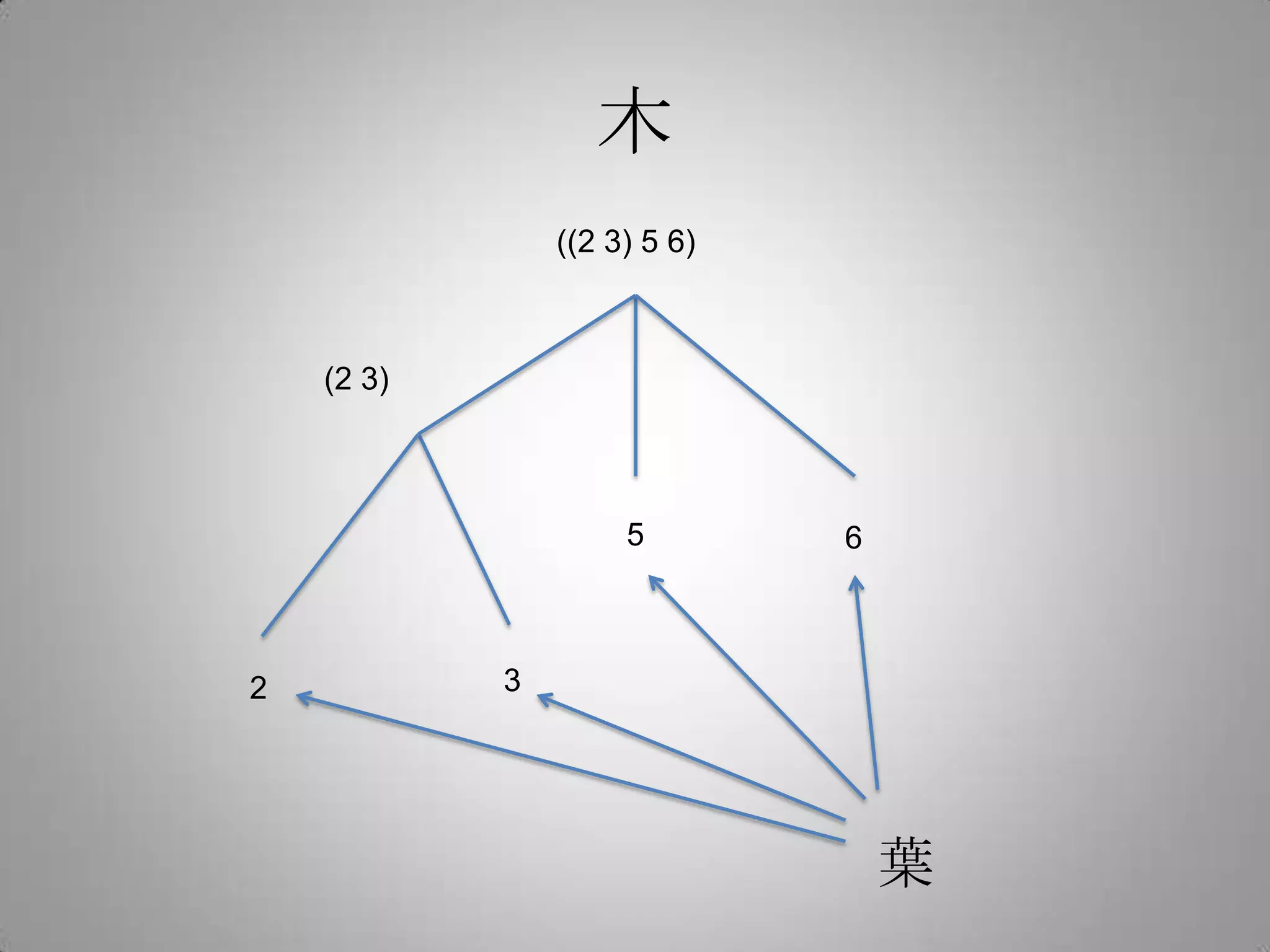 木
                ((2 3) 5 6)



    (2 3)



                     5        6



2           3




                                  葉
 
