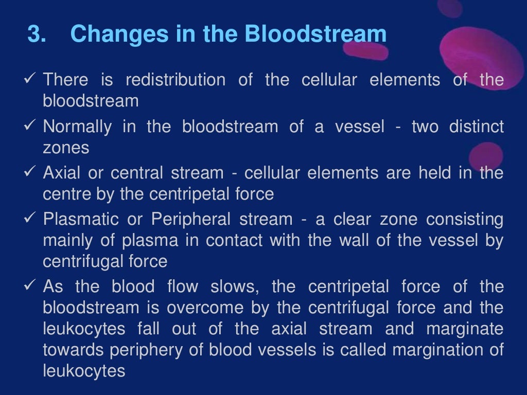 vascular changes in inflamation