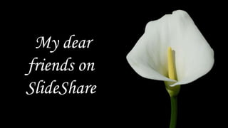 My dear friends on SlideShare 