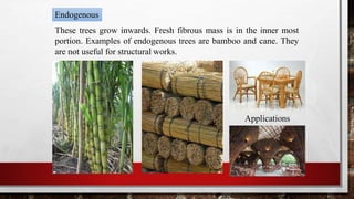 Endogenous
These trees grow inwards. Fresh fibrous mass is in the inner most
portion. Examples of endogenous trees are bamboo and cane. They
are not useful for structural works.
Applications
© mzs engineering technologies
 