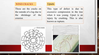 These are the cracks on
the outside of a log due to
the shrinkage of the
exterior.
WIND CRACKS
This type of defect is due to
excessive compression in the tree
when it was young. Upset is an
injury by crushing. This is also
known as rupture.
Upsets
© mzs engineering technologies
 