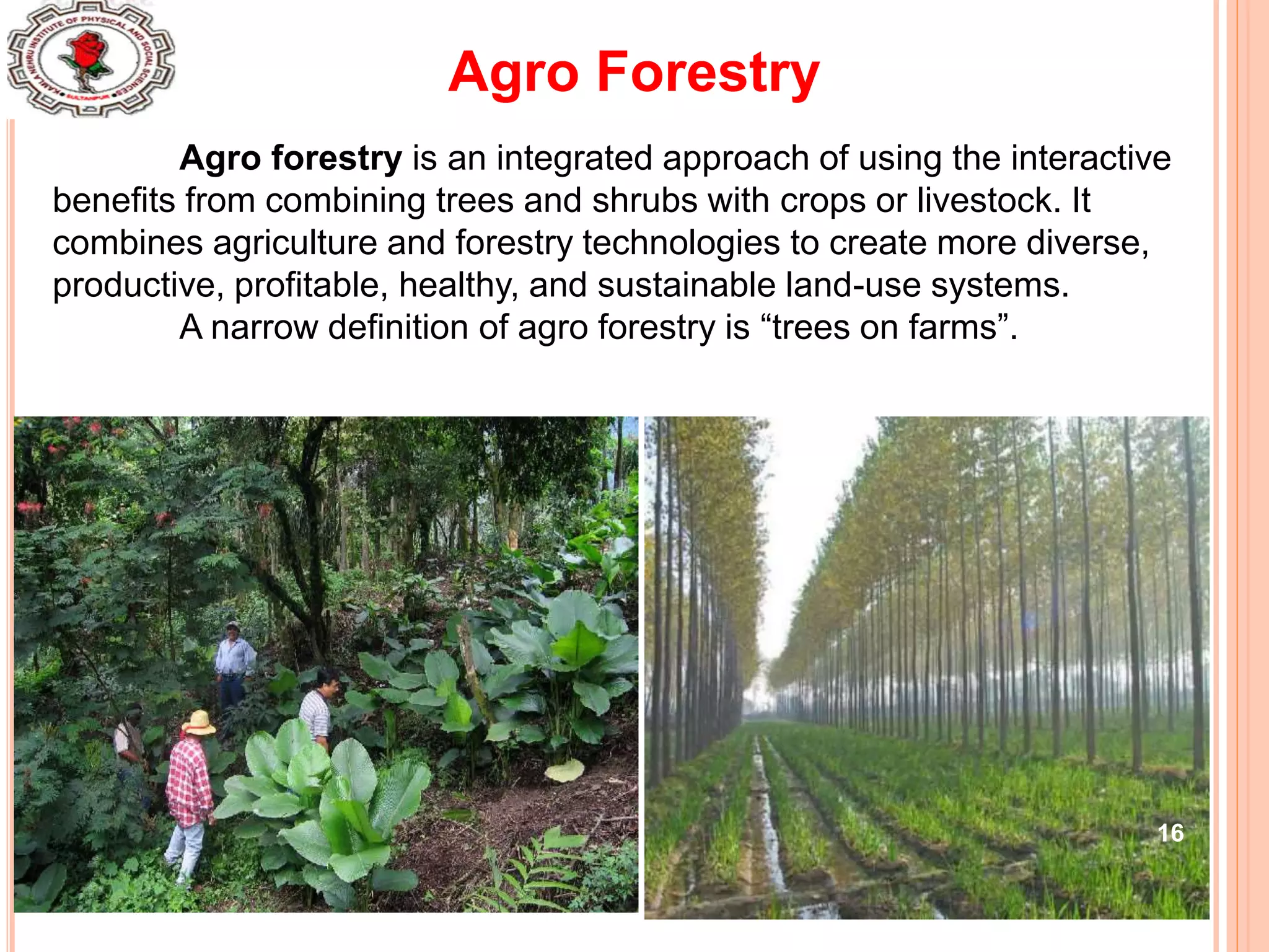 16
Agro Forestry
Agro forestry is an integrated approach of using the interactive
benefits from combining trees and shrubs with crops or livestock. It
combines agriculture and forestry technologies to create more diverse,
productive, profitable, healthy, and sustainable land-use systems.
A narrow definition of agro forestry is “trees on farms”.
 