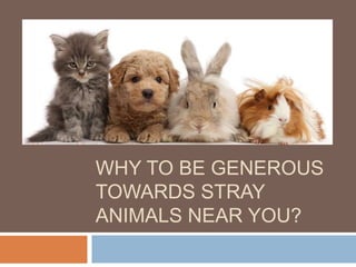 WHY TO BE GENEROUS
TOWARDS STRAY
ANIMALS NEAR YOU?
 