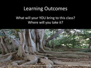 Learning Outcomes
What will your YOU bring to this class?
Where will you take it?
CCBYSA Patti Neumann http://commons.wikimedia.org/wiki/File:Buttress_roots.JPG#/media/File:Buttress_roots.JPG
 