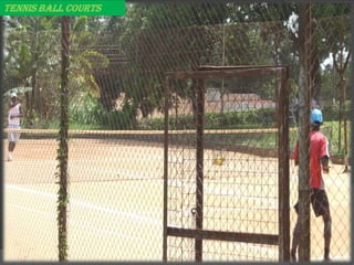 TENNIS BALL COURTS
 