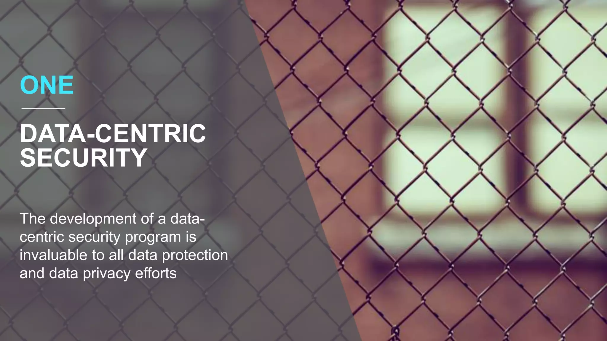 The development of a data-
centric security program is
invaluable to all data protection
and data privacy efforts
ONE
DATA-CENTRIC
SECURITY
 