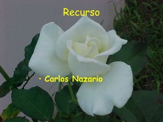 Recurso




• Carlos Nazario
 