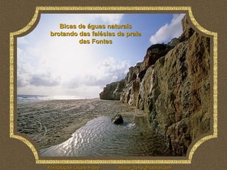 Bicas de águas naturais
 brotando das falésias da praia
          das Fontes




Formatação: Liliane Freire   liliane_freire@hotmail.com
 