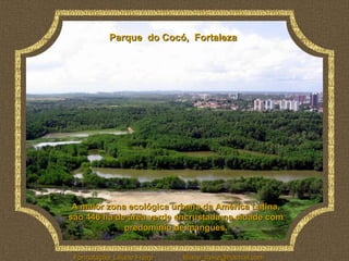 Parque do Cocó, Fortaleza




 A maior zona ecológica urbana da América Latina,
são 446 ha de área verde encrustada na cidade com
             predomínio de mangues.


 Formatação: Liliane Freire   liliane_freire@hotmail.com
 