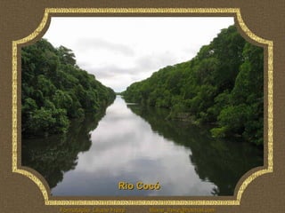 Rio Cocó

Formatação: Liliane Freire   liliane_freire@hotmail.com
 