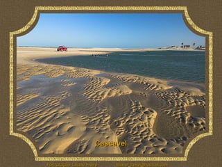 Cascavel

Formatação: Liliane Freire   liliane_freire@hotmail.com
 