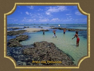 Praia das Fleixeiras

Formatação: Liliane Freire   liliane_freire@hotmail.com
 