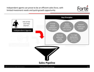 Effective Sales Lead Generation (Forte Consultancy Group)