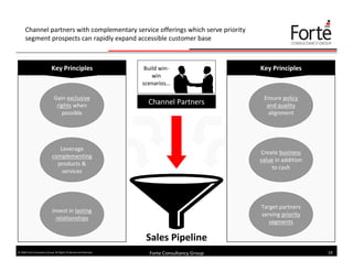Effective Sales Lead Generation (Forte Consultancy Group)