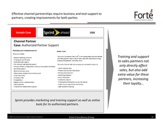 Effective Sales Lead Generation (Forte Consultancy Group)