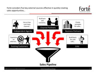 Effective Sales Lead Generation (Forte Consultancy Group)