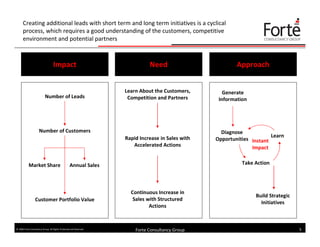 Effective Sales Lead Generation (Forte Consultancy Group)