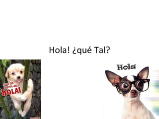 Hola!  ¿qué Tal? 