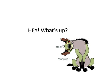 HEY! What’ s up? 