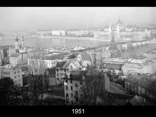 1951 