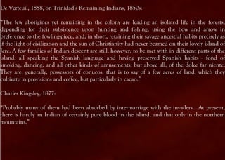 De Verteuil, 1858, on Trinidad’s Remaining Indians, 1850s:

“The few aborigines yet remaining in the colony are leading an isolated life in the forests,
depending for their subsistence upon hunting and fishing, using the bow and arrow in
preference to the fowling-piece, and, in short, retaining their savage ancestral habits precisely as
if the light of civilization and the sun of Christianity had never beamed on their lovely island of
Jere. A few families of Indian descent are still, however, to be met with in different parts of the
island, all speaking the Spanish language and having preserved Spanish habits - fond of
smoking, dancing, and all other kinds of amusements, but above all, of the dolce far niente.
They are, generally, possessors of conucos, that is to say of a few acres of land, which they
cultivate in provisions and coffee, but particularly in cacao.”

Charles Kingsley, 1877:

“Probably many of them had been absorbed by intermarriage with the invaders….At present,
there is hardly an Indian of certainly pure blood in the island, and that only in the northern
mountains.”
 