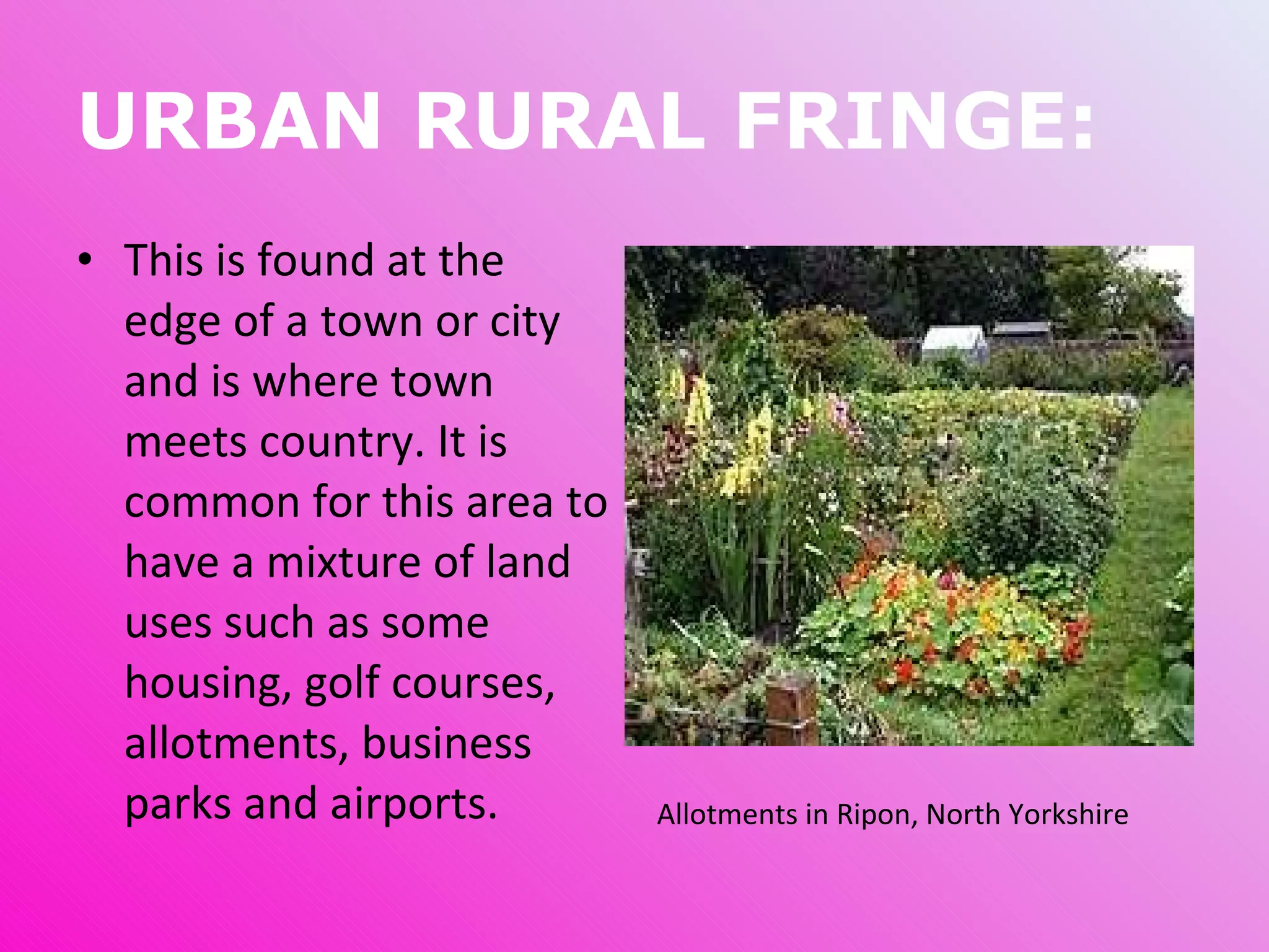 URBAN RURAL FRINGE: This is found at the edge of a town or city and is where town meets country. It is common for this area to have a mixture of land uses such as some housing, golf courses, allotments, business parks and airports. Allotments in Ripon, North Yorkshire 