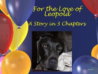 For the Love of
    Leopold
A Story in 3 Chapters




                        July 2010
 