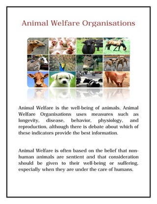 Animal Welfare Organi 
Organisations 
ations 
Animal Welfare is the well 
well-being of animals. 
Animal 
Welfare Organisations 
longevity, disease, behavior, 
reproduction, although there is debate about which of 
these indicators provide the best information. 
uses measures such as 
physiology, and 
Animal Welfare elfare is often based on the belief that non-human 
non 
human animals are sentient and that consideration 
should be given to their well 
well-being or suffering, 
especially when they are under the care of humans 
humans. 
 