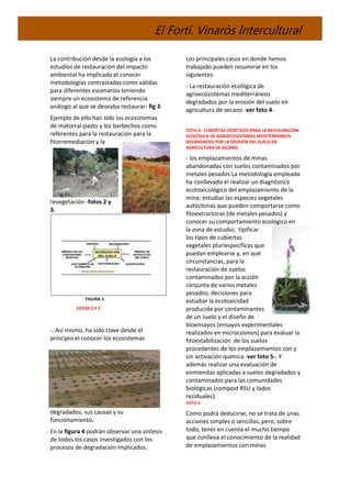 El Fortí. Vinaròs Intercultural
La contribución desde la ecología a los
estudios de restauración del impacto
ambiental ha implicado el conocer
metodologías contrastadas como válidas
para diferentes escenarios teniendo
siempre un ecosistema de referencia
análogo al que se deseaba restaurar- fig 3.
Ejemplo de ello han sido los ecosistemas
de matorral-pasto y los barbechos como
referentes para la restauración para la
fitorremediación y la
revegetación -fotos 2 y
3.
FIGURA 3
FOTOS 2 Y 3
-. Así mismo, ha sido clave desde el
principio el conocer los ecosistemas
degradados, sus causas y su
funcionamiento.
En la figura 4 podrán observar una síntesis
de todos los casos investigados con los
procesos de degradación implicados.
Los principales casos en donde hemos
trabajado pueden resumirse en los
siguientes:
- La restauración ecológica de
agroecosistemas mediterráneos
degradados por la erosión del suelo en
agricultura de secano -ver foto 4-
FOTO 4: CUBIERTAS VEGETALES PARA LA RESTAURACIÓN
ECOLÓGICA DE AGROECOSISTEMAS MEDITERRÁNEOS
DEGRADADOS POR LA EROSIÓN DEL SUELO EN
AGRICULTURA DE SECANO
- los emplazamientos de minas
abandonadas con suelos contaminados por
metales pesados La metodología empleada
ha conllevado el realizar un diagnóstico
ecotoxicológico del emplazamiento de la
mina; estudiar las especies vegetales
autóctonas que pueden comportarse como
fitoextractoras (de metales pesados) y
conocer su comportamiento ecológico en
la zona de estudio; tipificar
los tipos de cubiertas
vegetales pluriespecíficas que
puedan emplearse y, en qué
circunstancias, para la
restauración de suelos
contaminados por la acción
conjunta de varios metales
pesados; decisiones para
estudiar la ecotoxicidad
producida por contaminantes
de un suelo y el diseño de
bioensayos (ensayos experimentales
realizados en microcosmos) para evaluar la
fitoestabilización de los suelos
procedentes de los emplazamientos con y
sin activación química -ver foto 5-. Y
además realizar una evaluación de
enmiendas aplicadas a suelos degradados y
contaminados para las comunidades
biológicas (compost RSU y lodos
residuales).
FOTO 5
Como podrá deducirse, no se trata de unas
acciones simples o sencillas, pero, sobre
todo, tener en cuenta el mucho tiempo
que conlleva el conocimiento de la realidad
de emplazamientos con minas
 